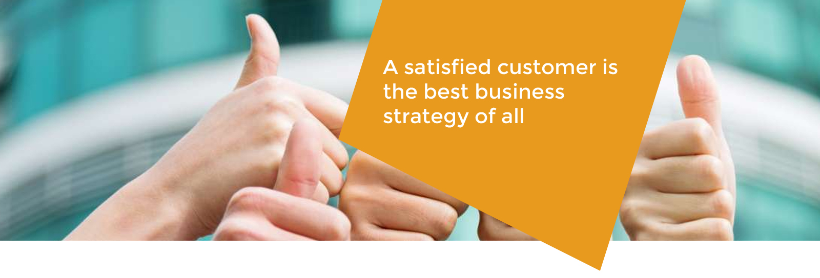 Trusted web design team in Sri Lanka with over 5 years of experience - Sha Web Design's professional staff dedication.