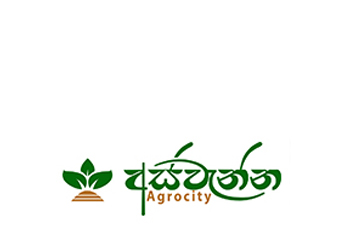 Custom e-commerce website design solutions by leading Sri Lankan web design company - Sha Web Design portfolio sample.