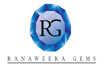 Custom e-commerce website design solutions by leading Sri Lankan web design company - Sha Web Design portfolio sample.