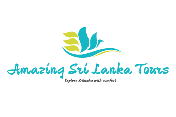Custom e-commerce website design solutions by leading Sri Lankan web design company - Sha Web Design portfolio sample.